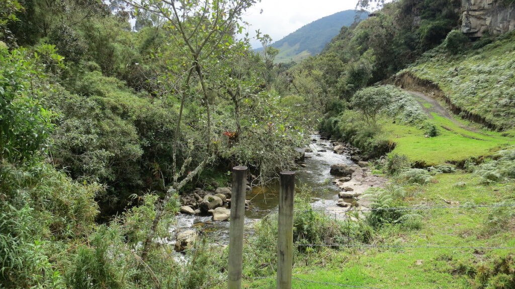 A natural spring in Chingaza